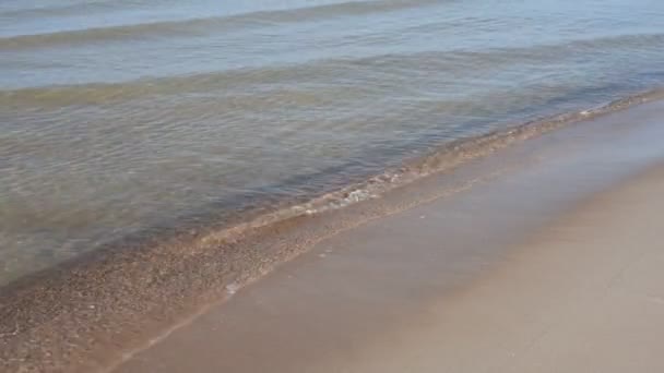 Κύματα Της Βαλτικής Θάλασσας Κυλούν Ήλιο Στην Αμμώδη Παραλία Κοντινό — Αρχείο Βίντεο