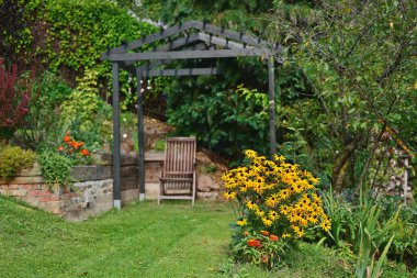 Bahçede sonbahar çiçekleri, evin yakınındaki küçük bir bahçede sonbahar renkleri