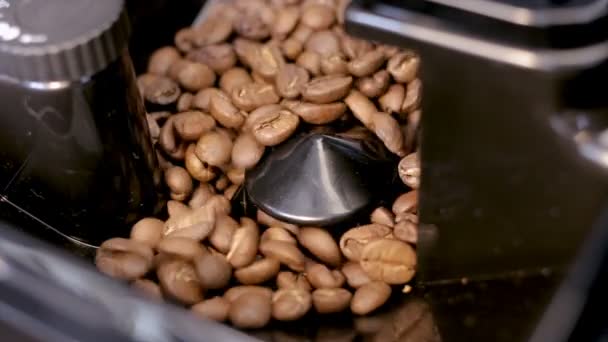 The process of making one cup of coffee — Stock Video