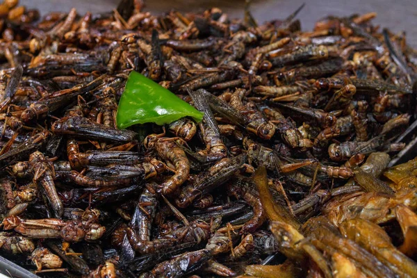 中国市場のカウンターのトレイに揚げ昆虫. — ストック写真