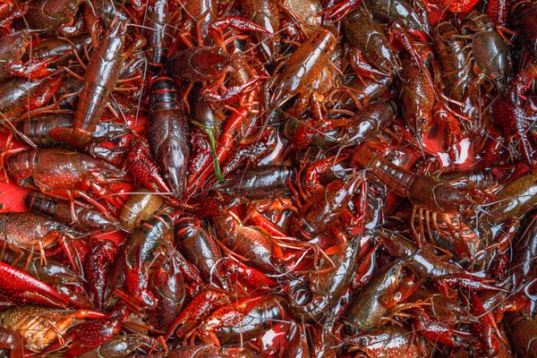 River Crayfish Counter Chinese Market Prepared According National Recipe Popular — Stock Photo, Image