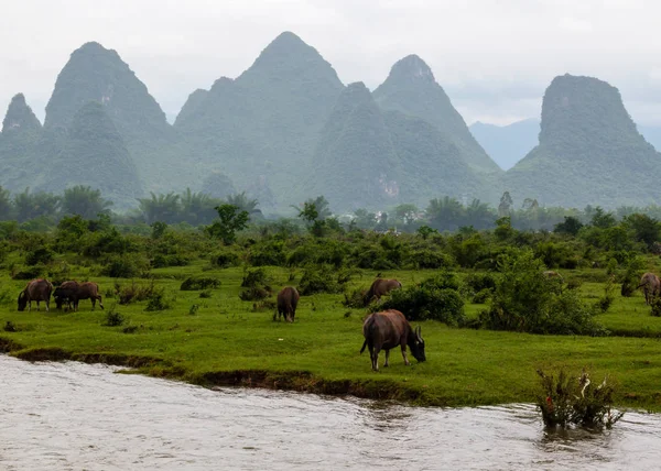Xingping 町と麗江の川として知られている李川の横にある牛のカルスト ピーク — ストック写真