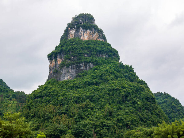 Karst peaks in Xingping Town and the cattle next to Li River known as Lijiang River.