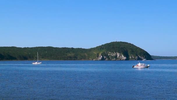 Movement Ships Amur Bay Bosporus Easern Strait Background Russian Island — Stock Video