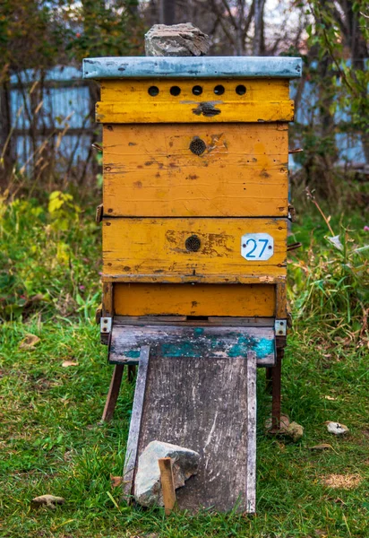 Bienenstöcke Bienenhaus Abschluss Der Sommersaison Der Honigernte Und Herbstvorbereitung Für — Stockfoto