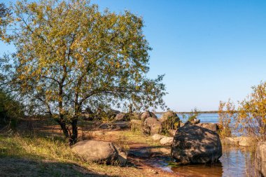 Amur Nehri Habarovsk Uzak Doğu Şehri yakınındaki village Sikachi taşları üzerine oyulmuş eski petroglifler konumlandırıldığı Alyan uzak olmayan