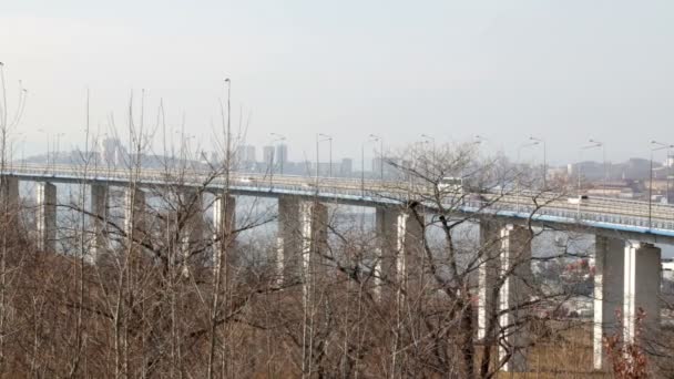从丘尔金角到鲁斯基岛的大桥 穿过远东城市符拉迪沃斯托克的博斯普鲁斯海峡东部 俄罗斯或拉斯基大桥大陆上的汽车运动 — 图库视频影像
