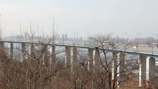 Pont Cape Churkin Île Russky Passant Par Bosphore Est Dans — Video