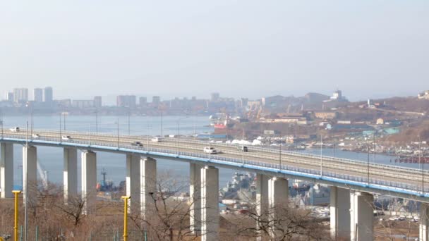 Ponte Capo Churkin Russky Island Attraverso Bosforo Est Nella Città — Video Stock