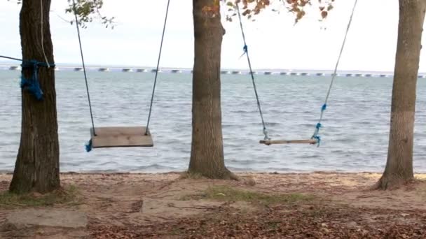 Swing Egy Rekreációs Park Kilátás Parton Sekély Víz Híd Sedanka — Stock videók