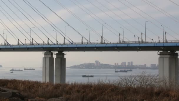 Puente Del Cabo Churkin Isla Russky Través Del Bósforo Este — Vídeos de Stock