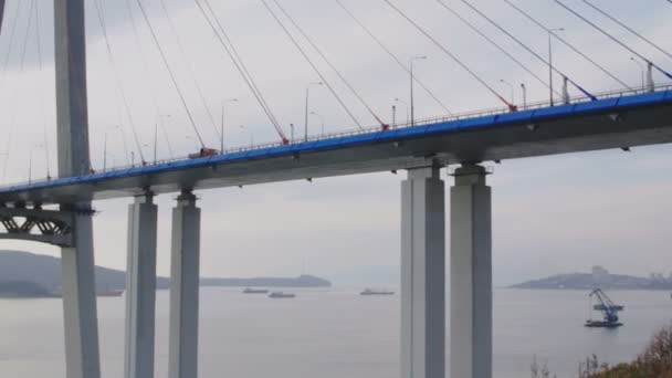 Ponte Capo Churkin Russky Island Attraverso Bosforo Est Nella Città — Video Stock