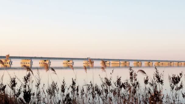 Nedostatku Vody Most Sedanka Poloostrov Friz Přes Amur Bay Primorského — Stock video