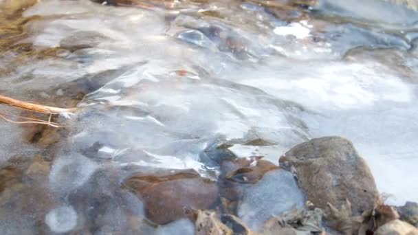 Il disgelo primaverile e i raggi dei soli hanno riscaldato il ruscello sciolto che brontola sotto il ghiaccio . — Video Stock