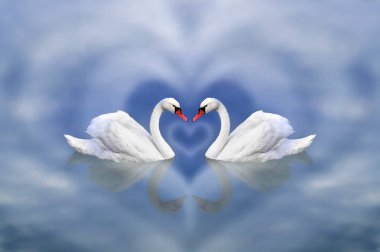 14 Şubat Sevgililer günü için bir davet olarak tebrik kartı. Kuğuların beyaz-mavi gökyüzü göl karşı bulutlu bir kalp tarafından çerçeveli aşık bir çifti.