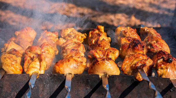 Pieces of chicken meat grilled on the grill. Traditional and popular dish during summer seasonal outdoor activities.