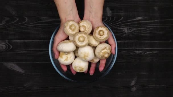 根据家常菜谱清洗蘑菇作为烹饪过程的一部分 或准备蘑菇冷冻 — 图库视频影像