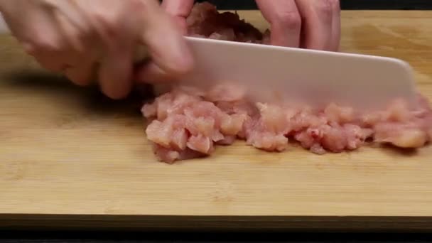 Cutting Slicing Chicken Fillets Part Homemade Recipe Preparation Chicken Meat — Stock Video