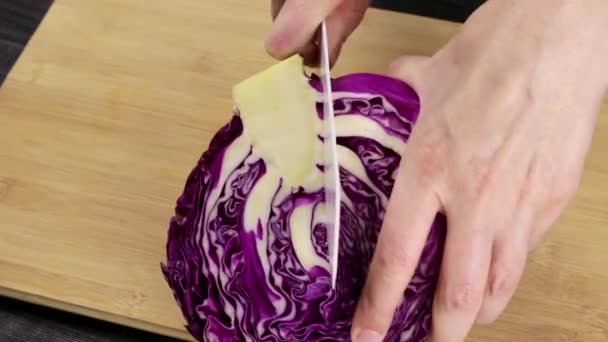 厨师的女手瓜分红白菜做沙拉或炖菜 自制食谱烹饪过程的一部分 — 图库视频影像