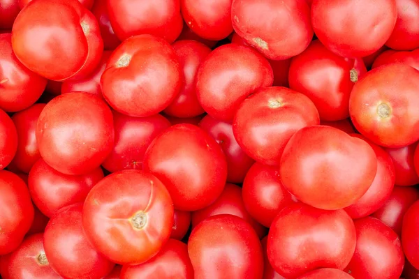 Solid background of fresh ripe and natural red tomatoes — Stock Photo, Image