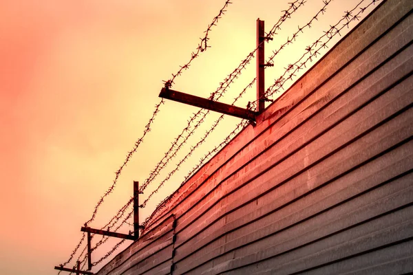 Barbed wire stretched over rusty brackets mounted on a fence made of metal sheets against the backdrop of the red sunset sky — Stock Photo, Image