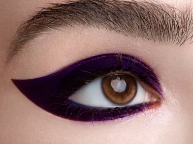 Elegance Moda göz farı ve göz kalemi güzel kadın göz close-up. Makro çekim kadının güzel kahverengi göz ile son derece kirpik uzun. Seksi görünüm, şehvetli bak