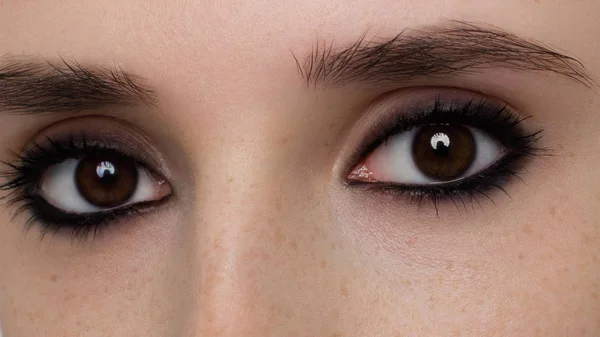 Eleganz Nahaufnahme Weiblicher Augen Mit Klassischem Dunkelbraunem Smoky Make Makroaufnahme — Stockfoto