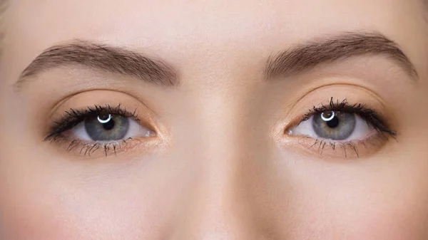 Macro shot of woman's beautiful eye with extremely long eyelashes. Sexy view, sensual look. Female eye with long eyelashes — Stock Photo, Image