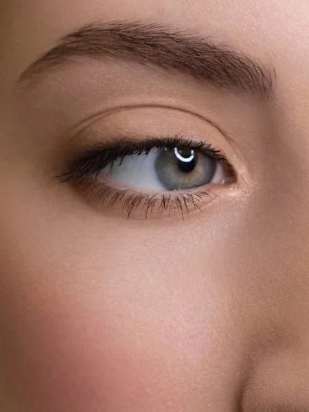 Bellissimo macro shot di occhio blu femminile con ciglia lunghe estreme e trucco fumoso. Sopracciglia perfette e ciglia lunghe. Cosmetici e trucco. Primo piano macro scatto di moda occhi visage — Foto Stock