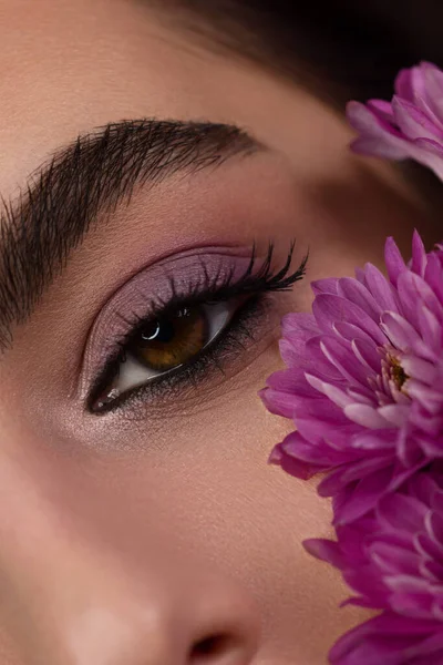 Elegance close-up female eye with dark brown eyeshadow. Macro shot of part of the face of a beautiful woman. Wellness, cosmetics and makeup. smooth beautiful eyebrows and eyelashes