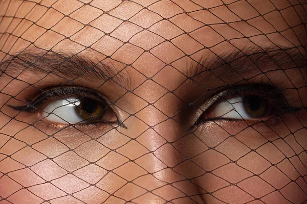 Elegante Nahaufnahme Weiblicher Augen Mit Dunkelbraunem Lidschatten Makroaufnahme Eines Teils — Stockfoto