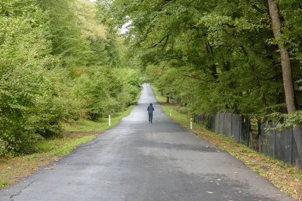 Boy Walking Road Trees Spring — Stock Photo, Image