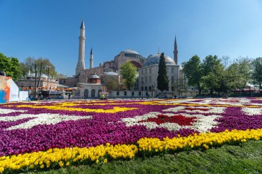 Istanbul, Türkiye - 27 Nisan 2017: Istanbul'da dünyanın en büyük Tulip halı. Tarihi Sultanahmet meydanında Lale Festivali sırasında sergilenen lale halı.