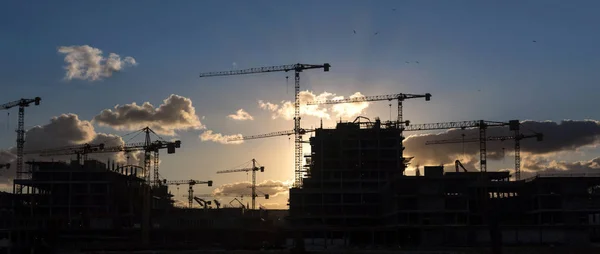 Grues Construction Industrielle Silhouettes Construction — Photo