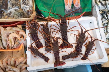 Istanbul'da balık eşya üzerinde çeşitli balık.