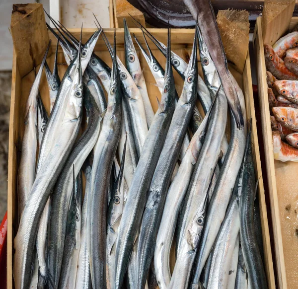 Щойно Піймав Needlefishes Zargana Полі Продажу Грецькому Рибний Ринок Стамбулі — стокове фото