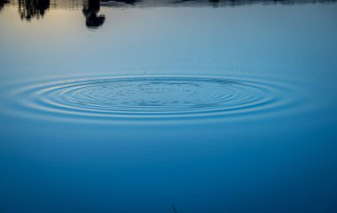 animasyonlu dalgalar su