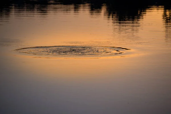 swirl and reflection in water