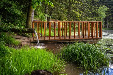 Taze soğuk ve rahatlatıcı su içmek.