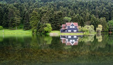 Bolu Golcuk Milli Parkı 'ndaki ormanın içindeki Wooden Gölü evi, Bolu.