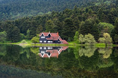 Bolu Golcuk Milli Parkı 'ndaki ormanın içindeki Wooden Gölü evi, Bolu.