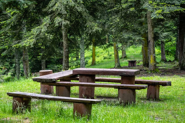 Uma Área Descanso Floresta Uma Mesa Bancos Feitos Madeira — Fotografia de Stock