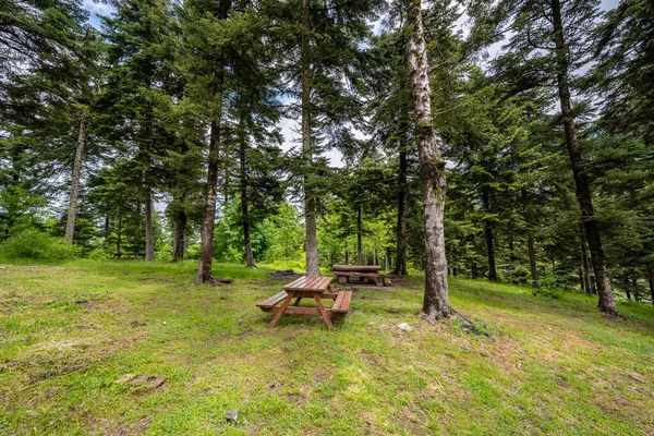 Uma Área Descanso Floresta Uma Mesa Bancos Feitos Madeira — Fotografia de Stock