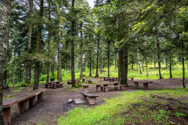 Resting Area Forest Table Benches Made Wood — Stock Photo, Image