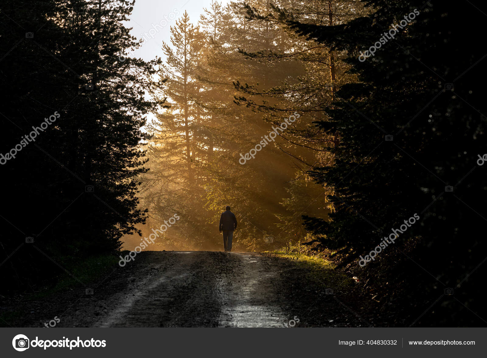 Silhouette Lonely Man Walking Away Misty Road Forest Stock Photo Image By C Ikurucan