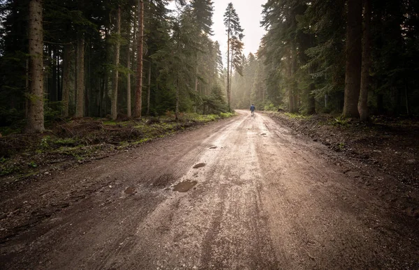 Silhouette Uomo Solitario Che Allontana Sulla Strada Nebbiosa Nella Foresta — Foto Stock