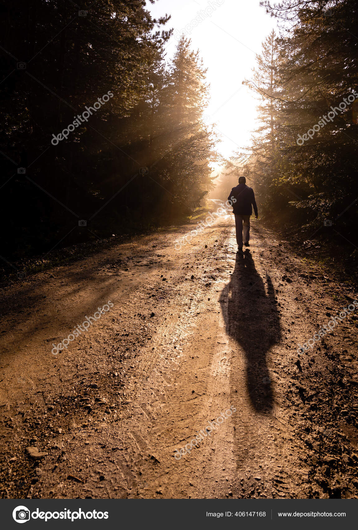 Silhouette Lonely Man Walking Away Misty Road Forest Stock Photo Image By C Ikurucan