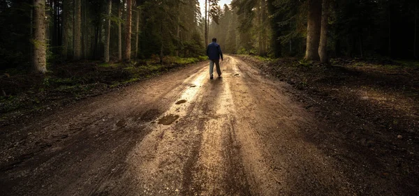 Silhueta Homem Solitário Caminhando Estrada Enevoada Floresta — Fotografia de Stock