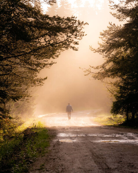 Silhouette Lonely man walking away on misty road in the forest