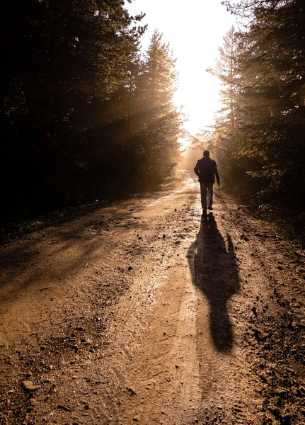 Silueta Osamělý Muž Kráčí Zamlžené Cestě Lese — Stock fotografie